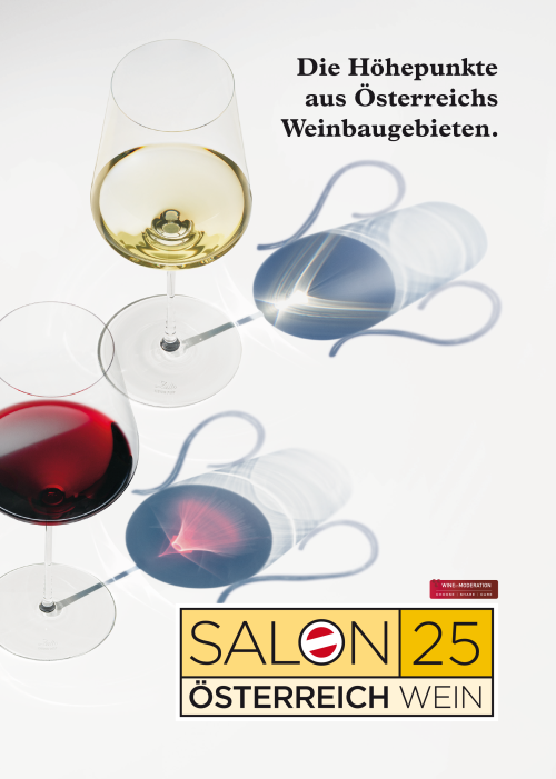 Salon-Buch 2025